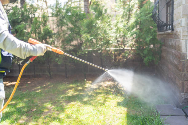 Best Termite Control Services  in Marietta, OH