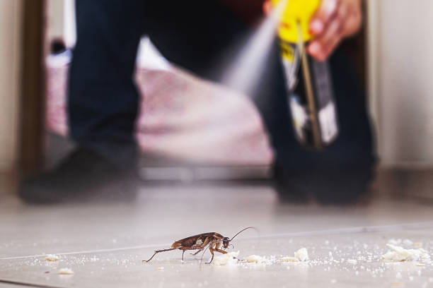 Best Residential Pest Control  in Marietta, OH